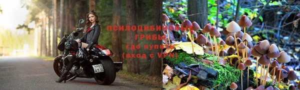 стаф Лабытнанги